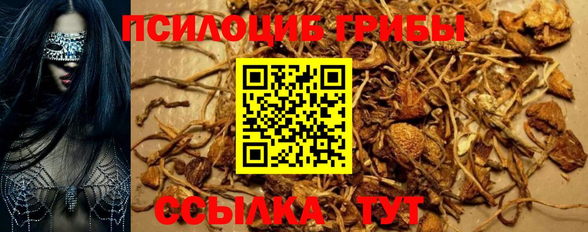 Галлюциногенные грибы Cubensis  Галлюциногенные грибы Magic Shrooms  Александров  Вход с VPN 